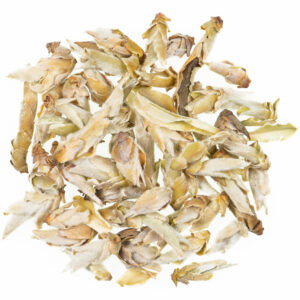 Ya Bao White Tea