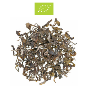 BIO Green tea Evergreen Jun Chiyabari
